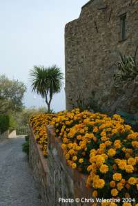 Click the image to view photos taken whilst walking on this 1-day itinerary.